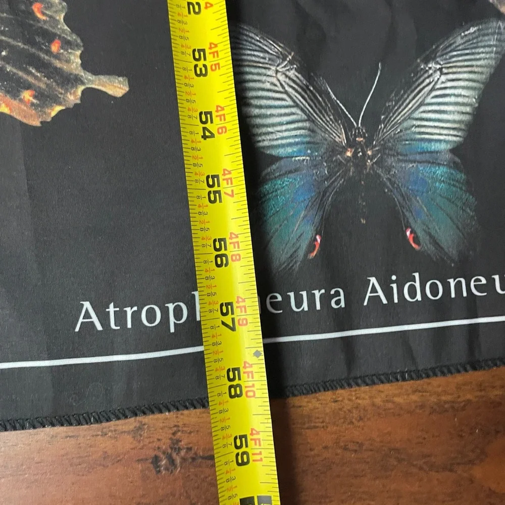 Papilllon Butterfly Chart Wall Hanging Tapestry 50x58 Black Scientific Moth Art